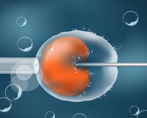 西安古董古玩艺术品收购公司_凉菜酸辣海带丝