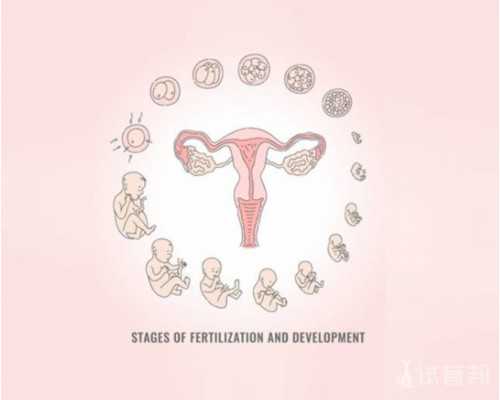 香港验血鉴定男女有没有不准的,大龄试管女性该如何提高试管婴儿成功率？学