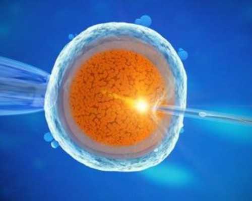 香港验血鉴定需要几周,呼伦贝尔有正规供卵机构吗？哪家医院能做借卵试管？