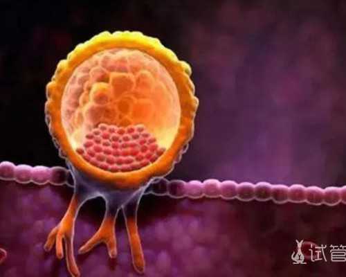 怀孕几周照b超香港验血_《羞羞的铁拳》的主要内容？羞羞的铁拳百度云链接