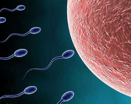 孕7周香港验血验不出_香港周日验血吗_胎儿性别检测真的准确吗!