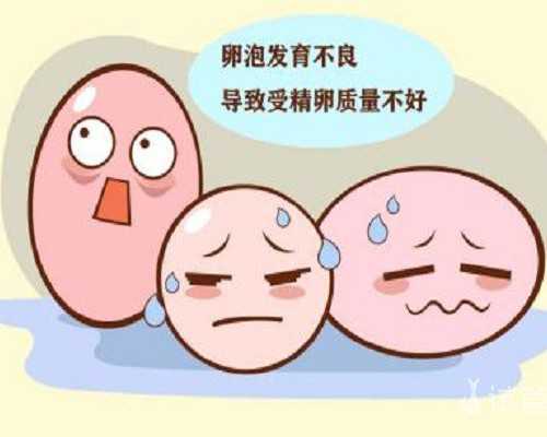 香港验血深圳中介骗子_香港信康验血,查性别真的准确吗