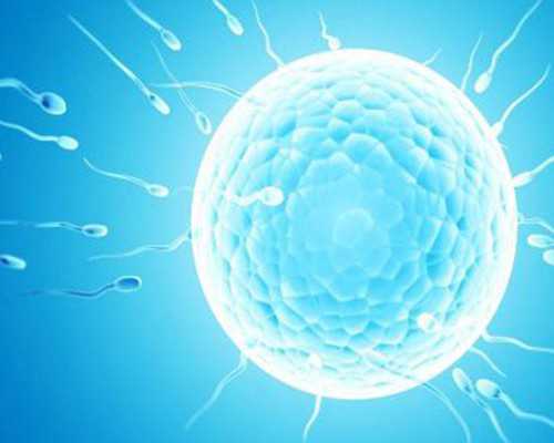 沉浮古玩虫3免费观看_迪拜艺博会何以立足