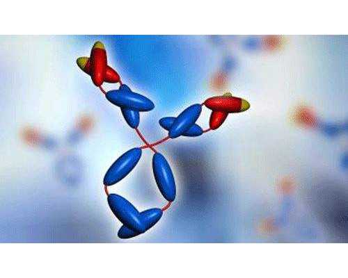 古玩大亨游戏规则关隘_中国美院出版社 多措并举助力乡村美育