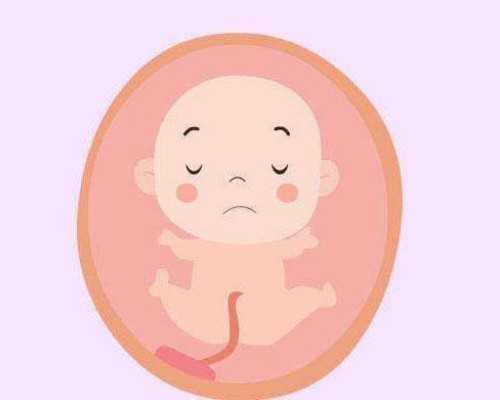 香港验血查性别到底准不准_香港验血那几家权威_抽血验男女全部费用多少钱