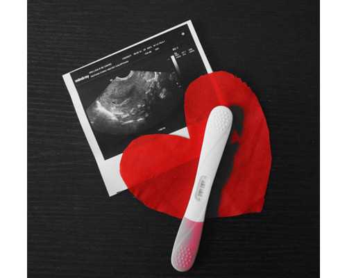 古玩电影郑大圣_健康饮食的十五大因素