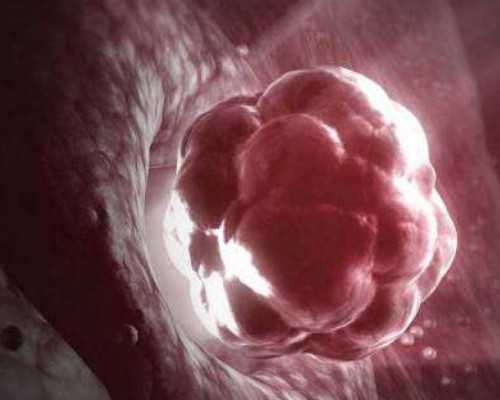 香港验血男孩b超女_香港验血测性别报告单_让我用事实来讲述真相