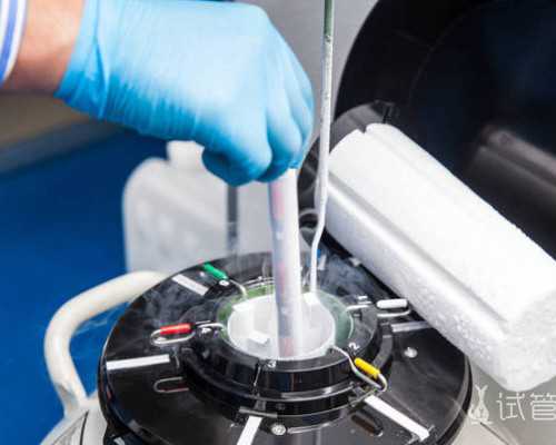 2021年全国古玩市场一览表_炖带鱼，海边人从小吃到大