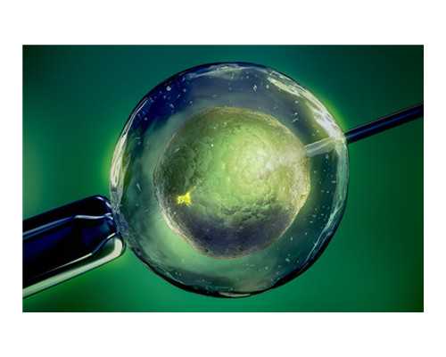 香港验血去哪预约_香港验血鉴定男女是不是真的很准，我的经历告诉你