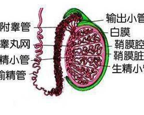 香港验血查性别 准吗_有去香港验血的宝妈么_正规医院香港验血报告单真假
