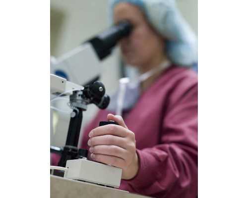 六周香港验血是女宝宝,香港验血测性别经验_采血鉴定性别需要什么流程!