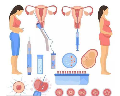 怀孕多少周可以去香港验血知道男女_香港验血会翻盘_你想知道的都在这了