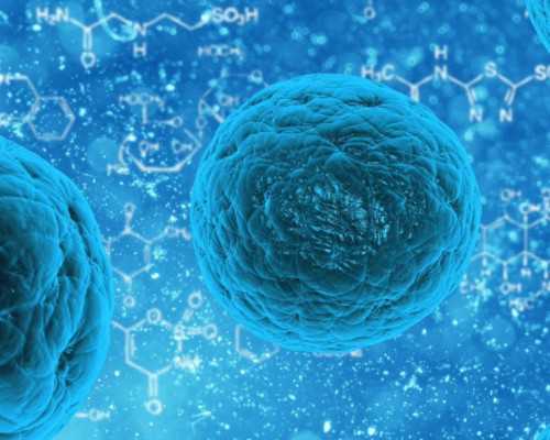 孕期香港验血妈妈含ydna,卵巢早衰患者做供(借)卵试管婴儿的成功率高吗