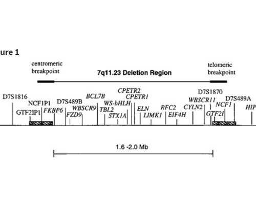 香港验血报告什么时候邮回来_香港验血六周最准_性别鉴定详细流程说明