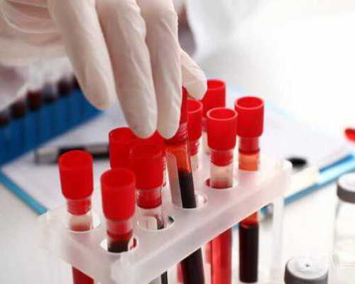 香港验血测男女多久有结果啊_香港验血有y一定是男孩吗,我告诉你!