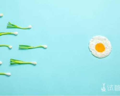 15周香港验血没y生了男孩_到香港验血男女吗_自己到香港验血的真实经历!