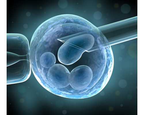 香港十大验血公司_网上生男生女流言揭秘：吃佑生碱能生男孩