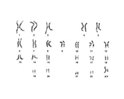 潘家园古玩市场摆摊卖笔,八字看配偶对自己事业有帮助