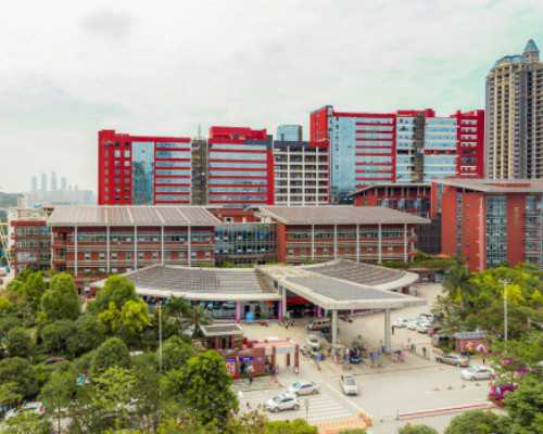 寄到香港验血靠谱吗,《丁香花》这首歌背后的真实故事？丁香花讲述的是一个