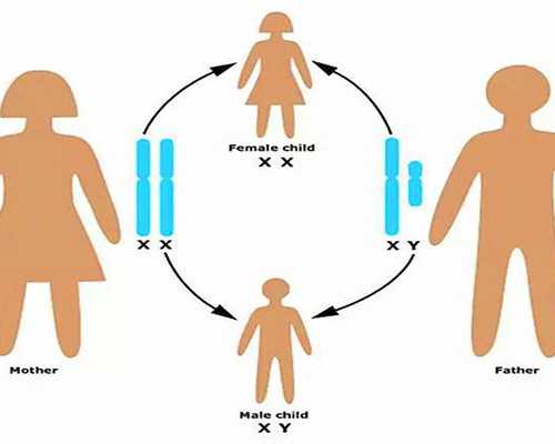 古玩虫儿罗银水_孙晓云 楷书罗大经《鹤林玉露》买砚诗