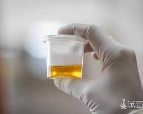 到香港验血查男女_香港邮寄验血冰袋，一般多少钱是正规靠谱的