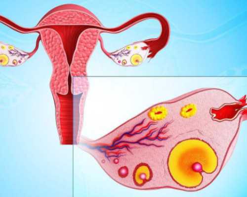 RH血型香港验血准不,怀孕多久香港查男女性别_验血查性别要到哪预约!