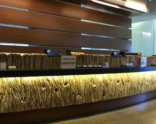 香港胎儿验血性别鉴定结果咋看_香港测男女不准_性别鉴定需要注意什么条件