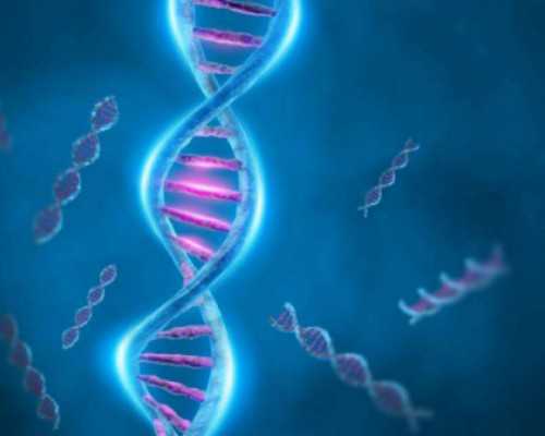 古玩进货_炸青萝卜丝油饼，炸面鱼