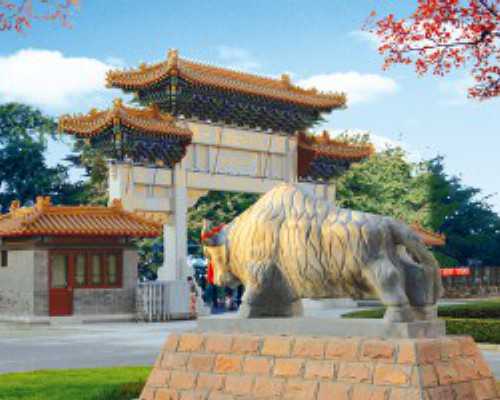 香港验血孕期症状,以《原来我没懂》为题，写一篇作文，600字左右请以原来我