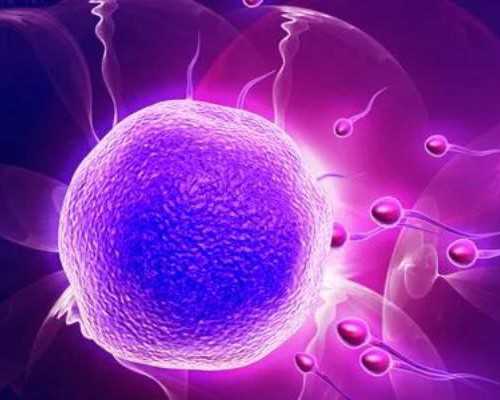 怀孕50天香港验血准吗_流产不足半年香港验血_有什么需要注意的!