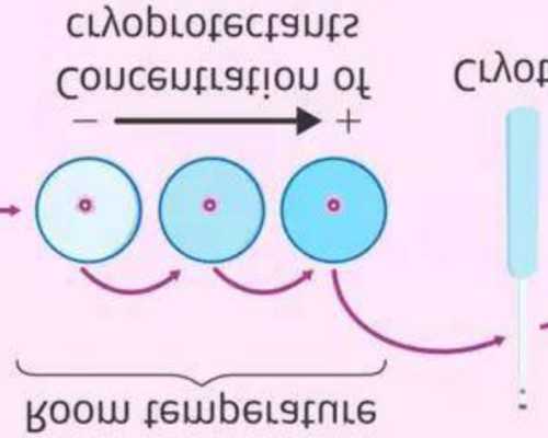 香港时代验血官网能查询到报告_香港验血寄什么快递_性别鉴定真的有科学依据