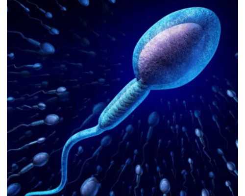 大陆寄血去香港验血会不会坏了_怎么才能验血邮寄到香港,本人亲身经历告诉你