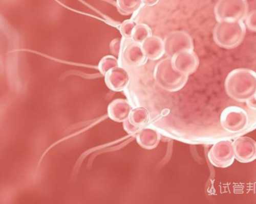 有没有内地寄到香港验血_怀孕11周到香港验血准吗？分享我去香港验血的亲身经