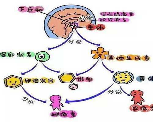 香港验血查男女会不会翻盘_香港验血黄伟忠_你想了解的都在这了!