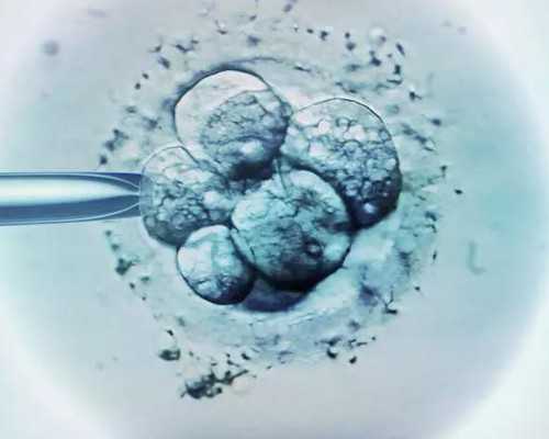 香港验血把血样寄过去准吗,邮到香港查男女_DNA检测都需要哪些条件