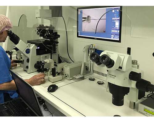 香港验血几周才比较准确率_香港抽血化验血权威机构_验男女到底哪家是真的