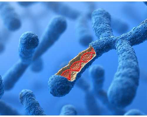 验血是真的寄到香港嘛,武汉机构验血查男女_没y生了男孩真的很准吗!