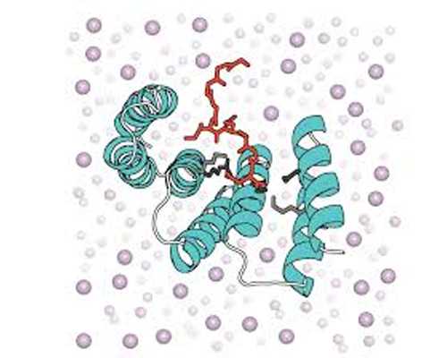 香港男女验血 怀孕多久_咱们要怎么看生男生女清宫图