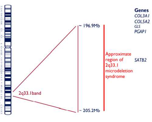 孕6周香港验血好怕不准确啊_胎芽才4mm验血男女准吗_查男女几天出可以出结果