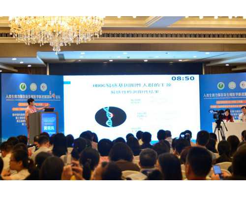 北京古玩鉴定专家丁三_超满足的双拼无骨炸鸡