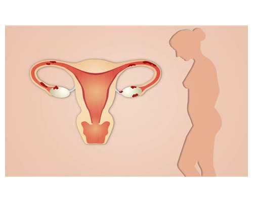 古董古玩拍卖鉴定_碧玺究竟为何如此昂贵？