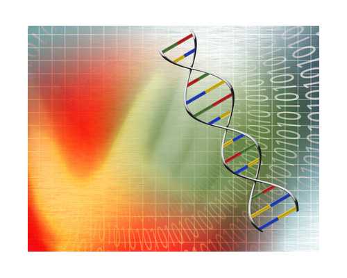 香港验血为什么7周_如何确认香港验血报告单的真假准不准_查男女检测机构哪家