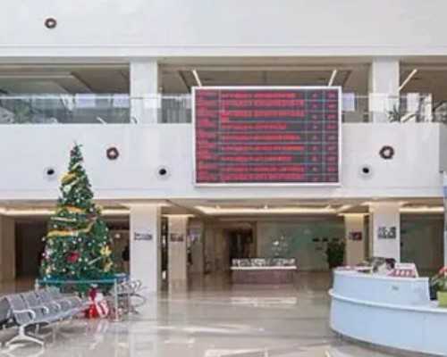 沈阳古玩鉴定权威机构_美容瘦身之-清新爽口的绿豆芽