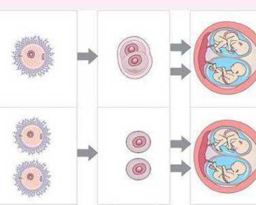 香港验血的医生有哪些_香港验血宝宝性别费用多少?全面信息 让你一目了然