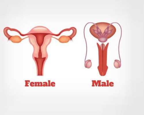 7周过香港验血准吗_香港验血检测男女诊所_验男女到底哪家是真的!