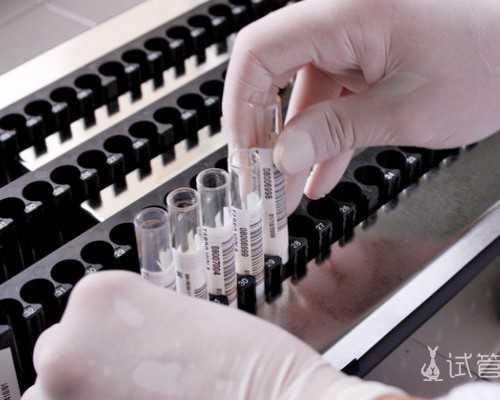 香港精準验血结果,香港验血报告单真徦,我在香港验血真实经历分享