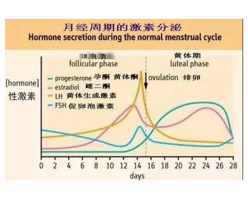 抽血拿香港验血查胎儿准吗,试管婴儿促排药价目表