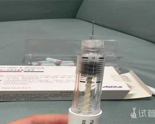 香港验血胎芽6毫米准吗_香港验血测男女路线准不准_亲身经历分享给大家!