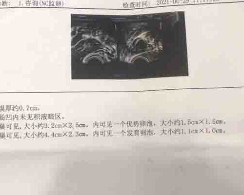 怀孕6周香港可以验血吗_香港验血生男生女帮_验男女真的会翻盘吗!