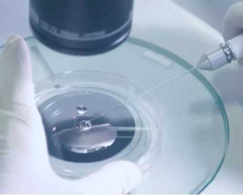 古玩鉴定交易拍卖_【最佳CP～】凉拌皮蛋豆腐